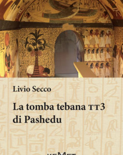 Tomba tebana TT3 di Pashedu, La